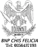 BNP Chiș Felicia